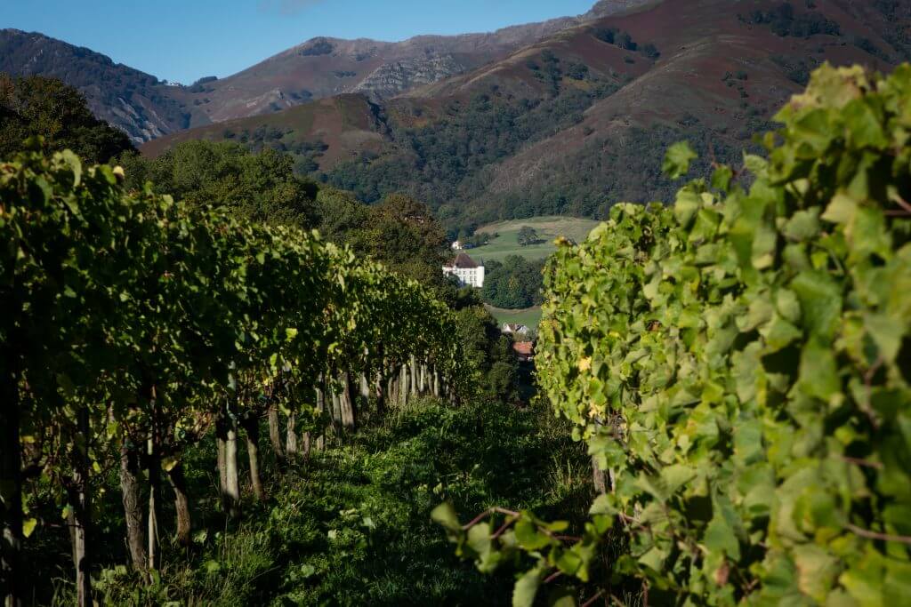 À propos Syndicat des vins d'Irouléguy