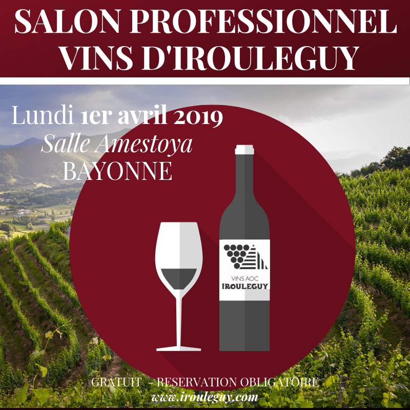 visuel salon 19
