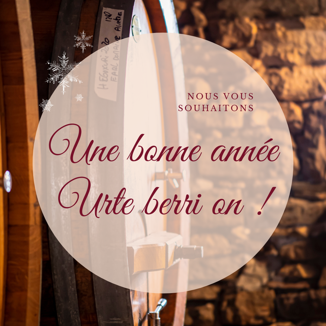 Publication nouvelle année 2024