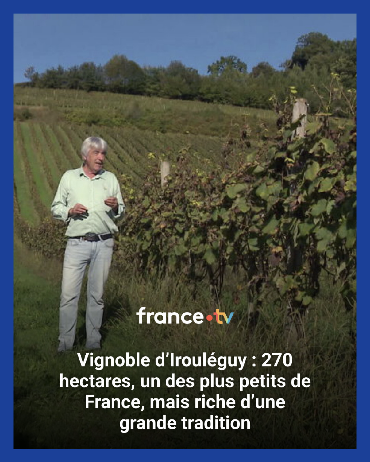 Cadre - Reportage - Vignoble d'Irouléguy | France 3 TV - Nouvelle Aquitaine.PNG